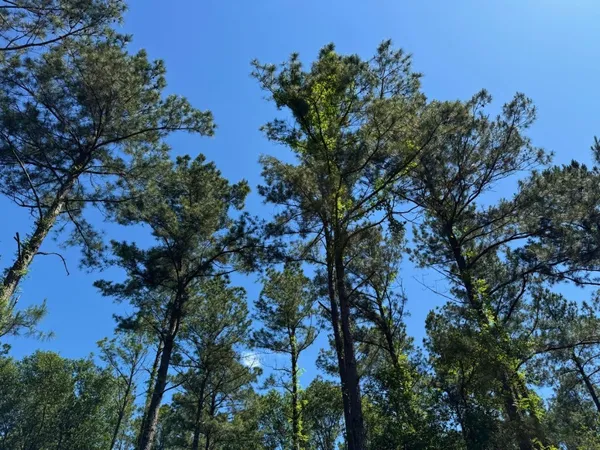 a view of a field with an outdoor space