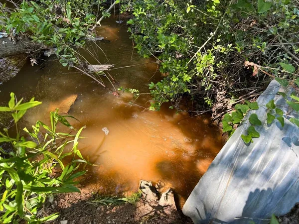 a view of a green field with lots of bushes
