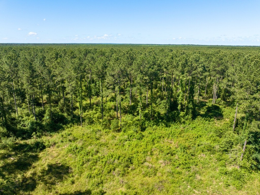 0 Brown Road Trinity, TX 75862 - Photo 20 of 25 a view of a field with an outdoor space