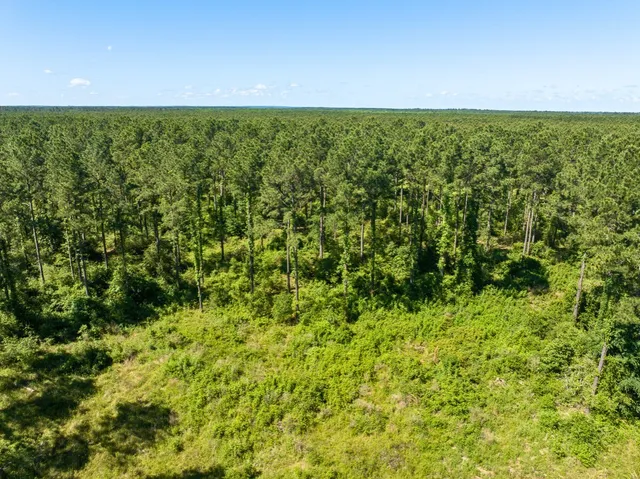 a view of yard with swimming pool