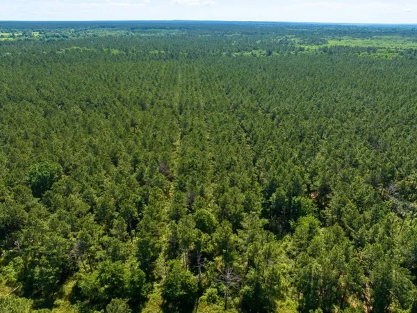 $1,538,790 | 0 Brown Road, Trinity, TX 75862