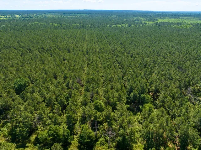 $1,538,790 | 0 Brown Road, Trinity, TX 75862