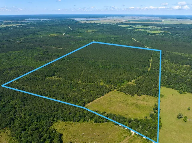 $1,538,790 | 0 Brown Road, Trinity, TX 75862