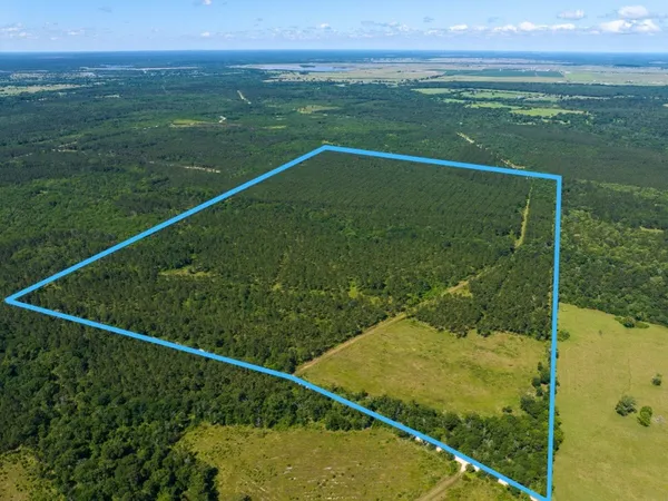 $1,538,790 | 0 Brown Road, Trinity, TX 75862