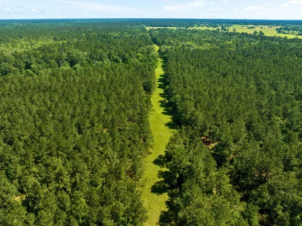 a view of a field with an ocean