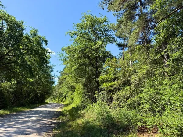 a view of a lake and trees in the background