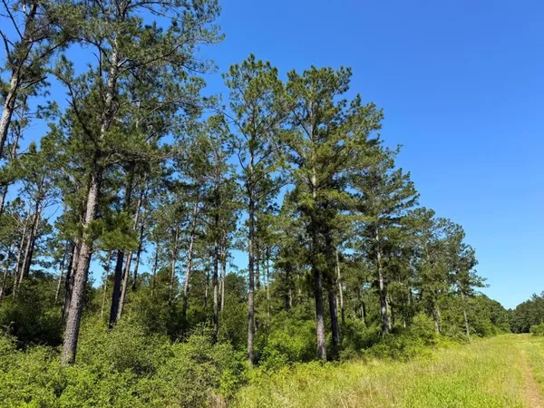 a view of outdoor space and green space