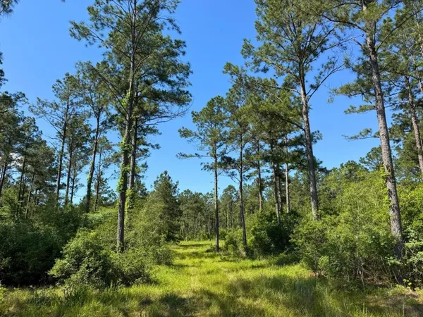 a view of green field with trees in the background