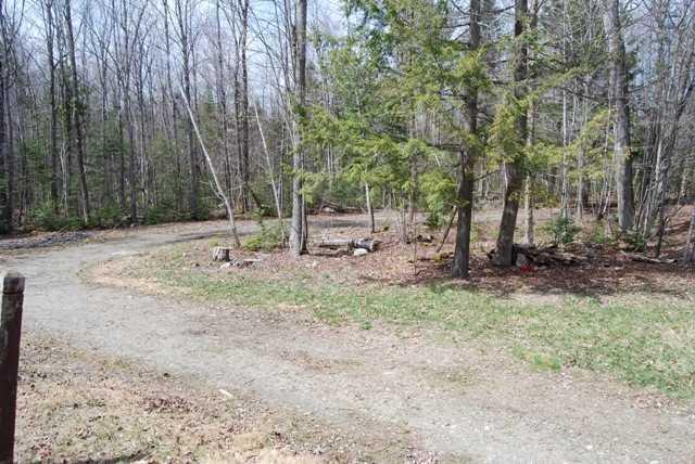 721 East Benton Road Benton, ME 04901 - Photo 8 of 8 Yard/Garden.