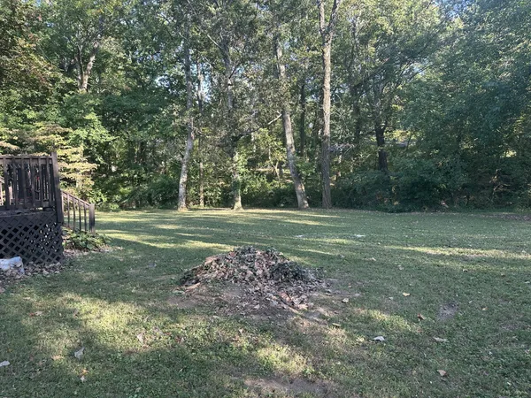 a view of a yard