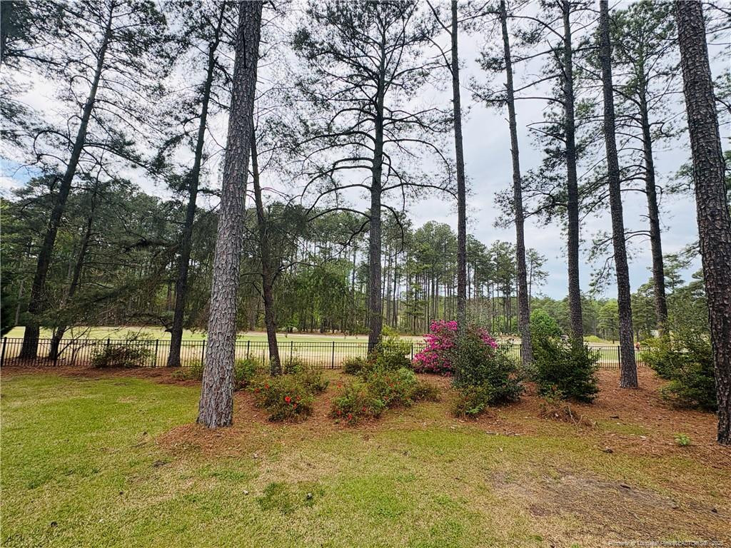 30180 East Lake Road Wagram, NC 28396 - Photo 5 of 5 Photo 5