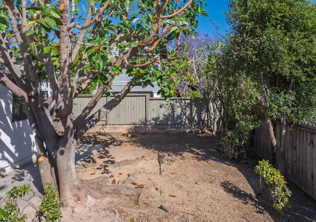 a view of a yard with plants and trees