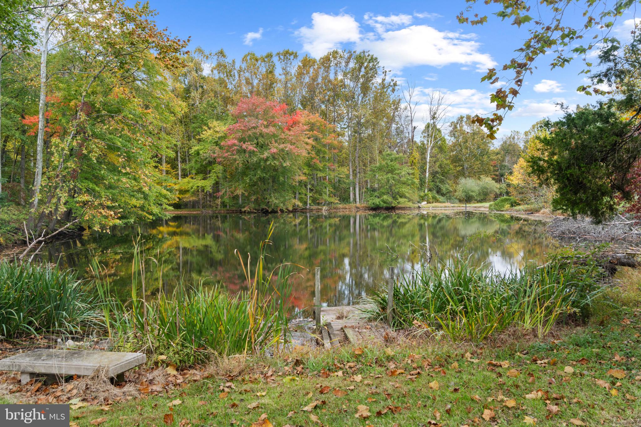 10208 Van Thompson Road Fairfax Station, VA 22039 - Photo 43 of 56