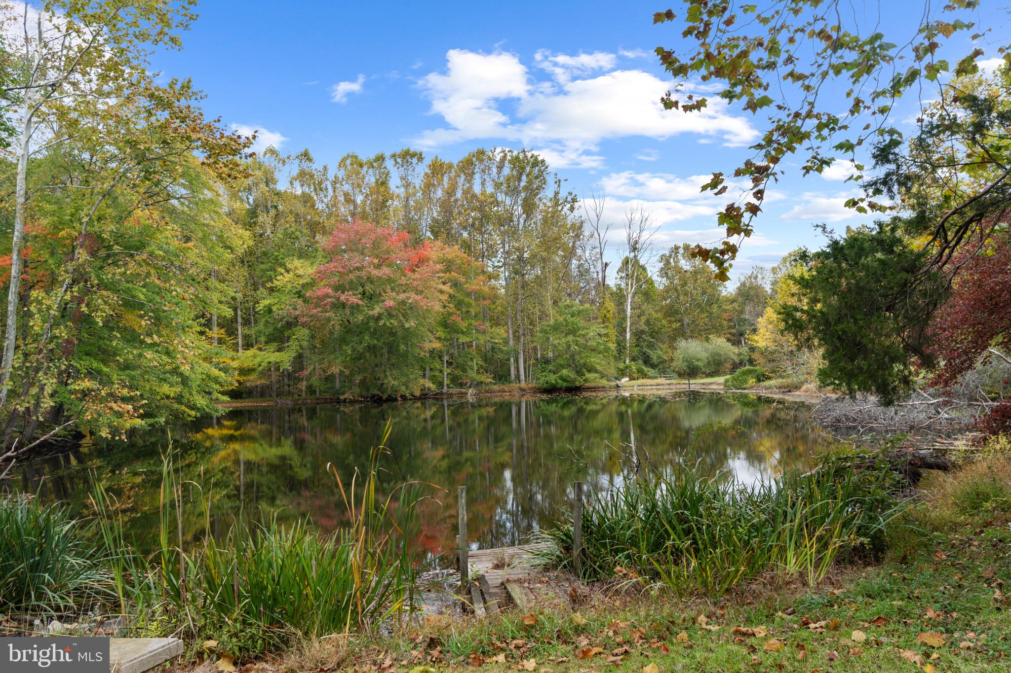 10208 Van Thompson Road Fairfax Station, VA 22039 - Photo 44 of 56