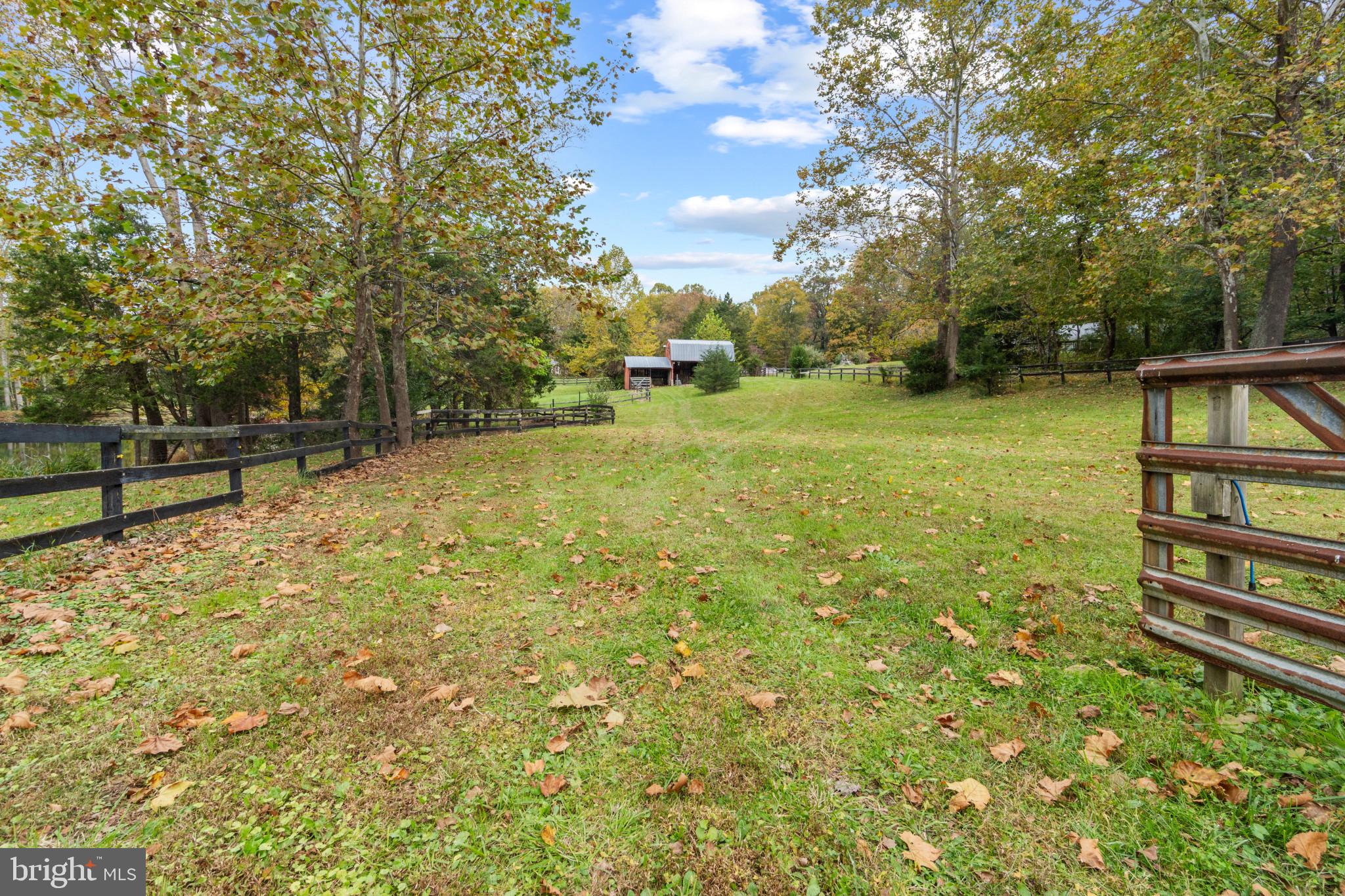 10208 Van Thompson Road Fairfax Station, VA 22039 - Photo 46 of 56