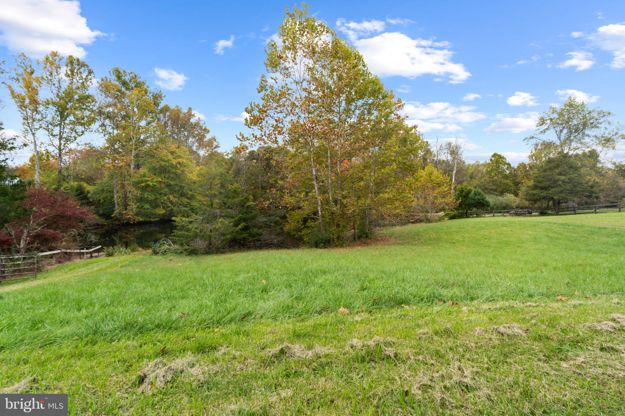 10208 Van Thompson Road Fairfax Station, VA 22039 - Photo 48 of 56