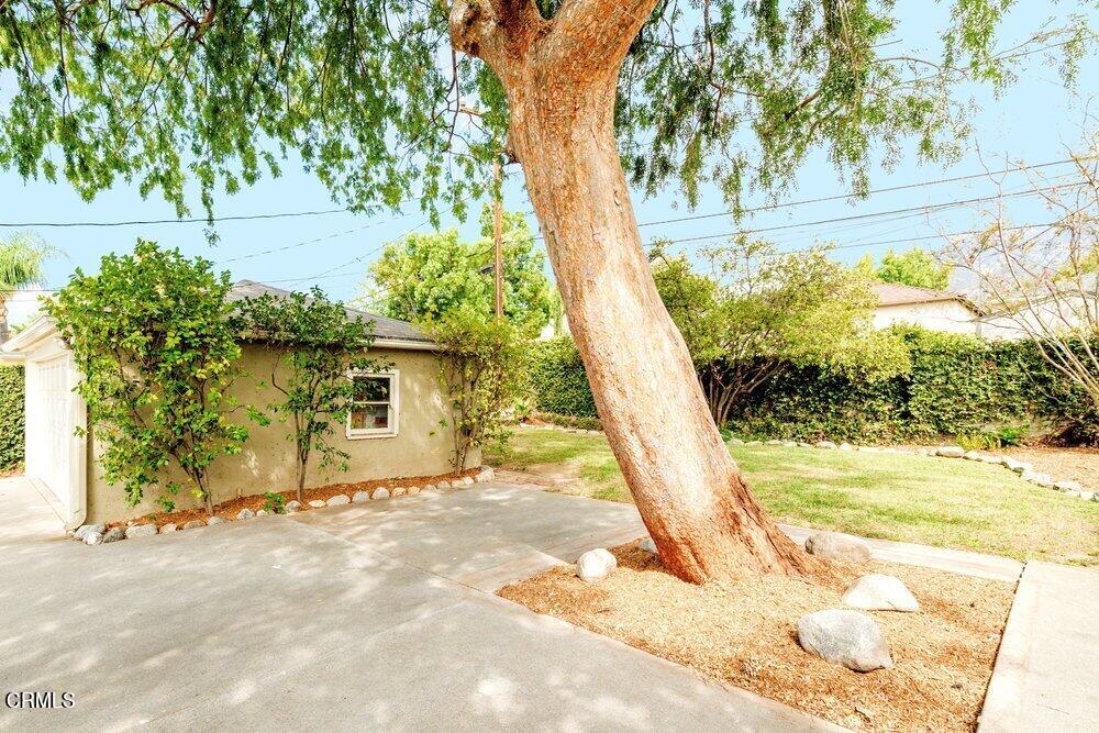 1795 Sonoma Drive Altadena, CA 91001 - Photo 25 of 29 a view of a yard with a tree