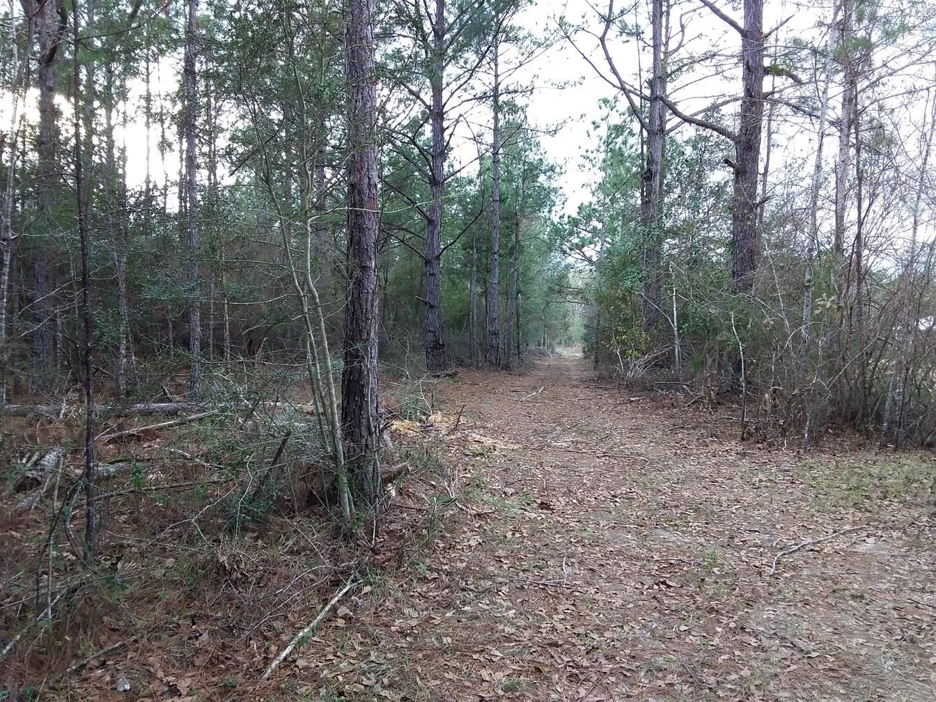 49360 Pimperl Road Bay Minette, AL 36507 - Photo 7 of 8