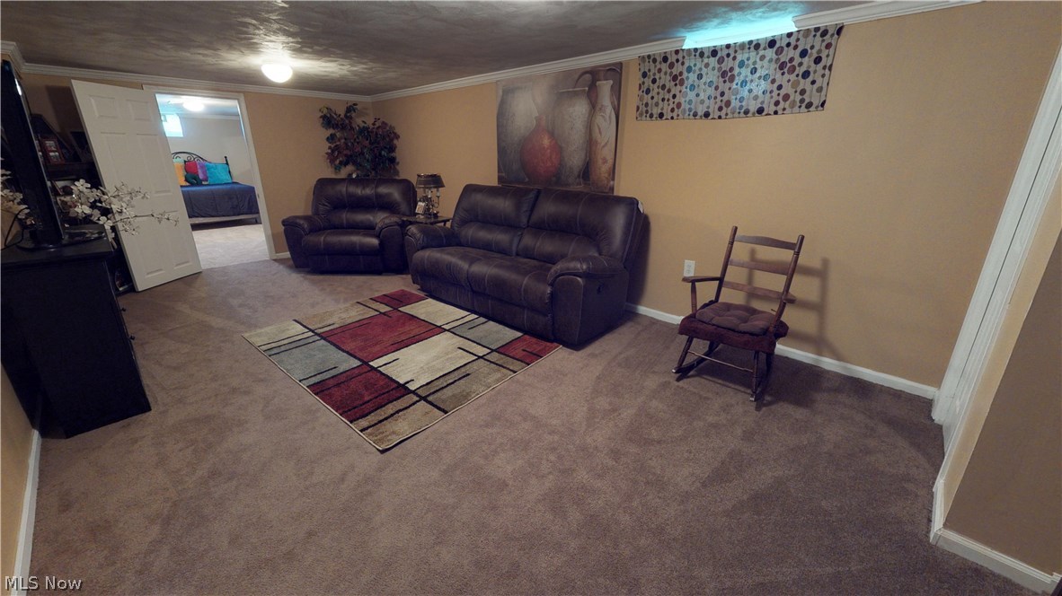 5023 South Sedgewick Road Cleveland, OH 44124 - Photo 4 of 33