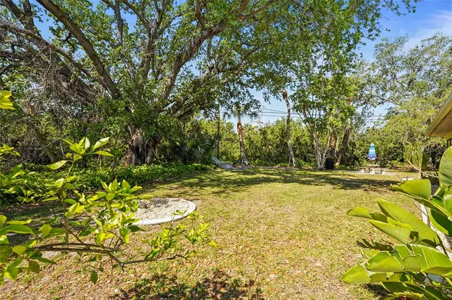 aerial view of a backyard with plants