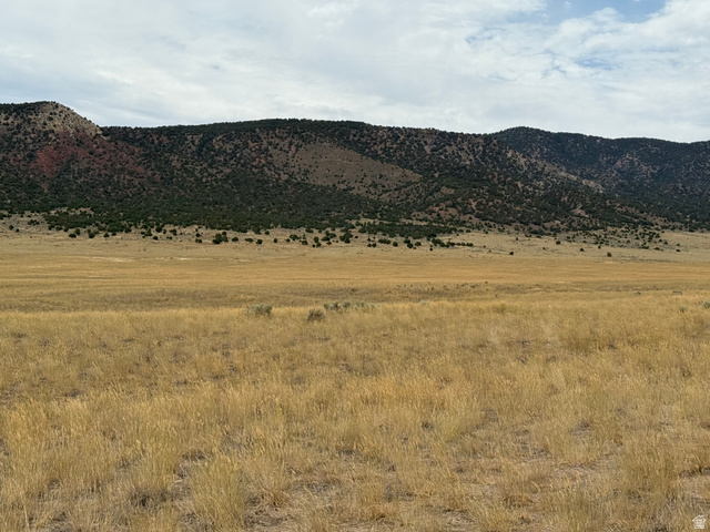 25 Old Dam Road, Unit 25 Levan, UT 84639 - Photo 5 of 10