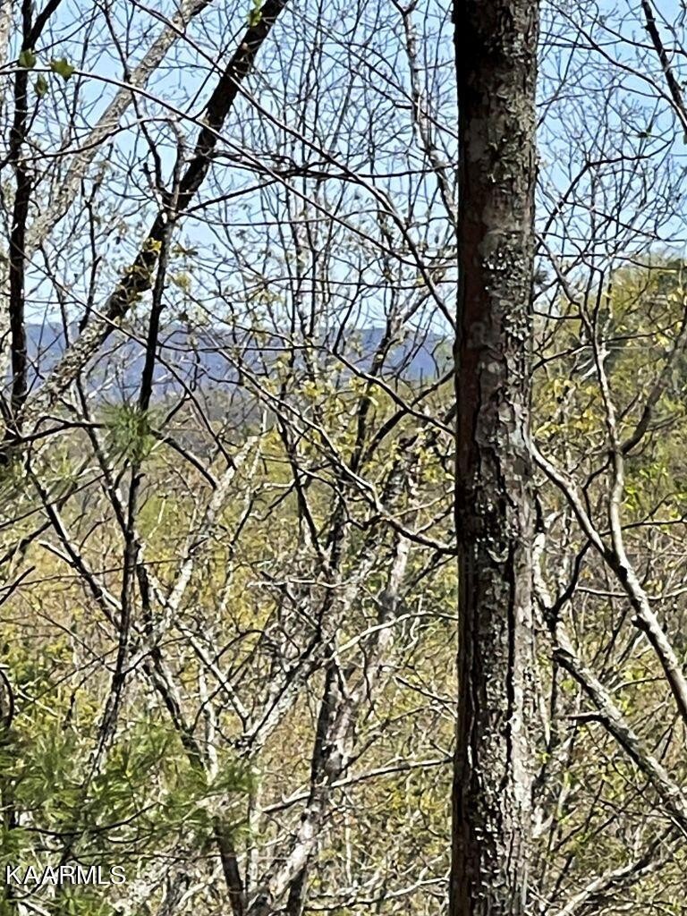 1216 Rafter Road Tellico Plains, TN 37385 - Photo 29 of 29 Gallery Image 29