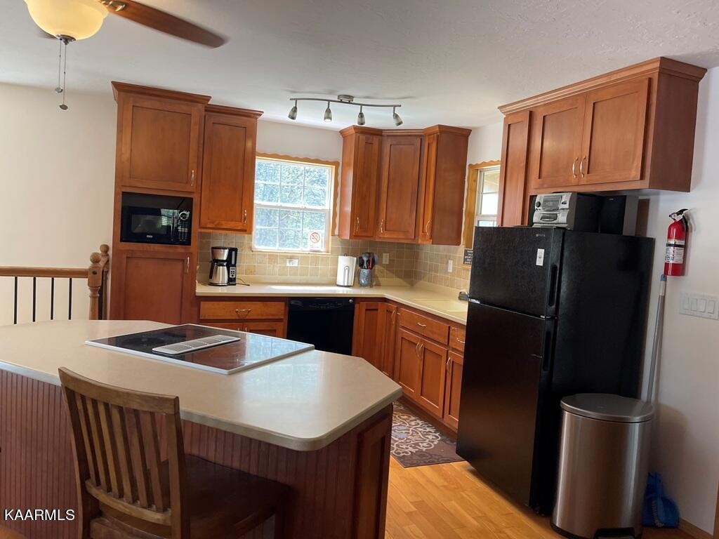 1216 Rafter Road Tellico Plains, TN 37385 - Photo 4 of 29 Gallery Image 4