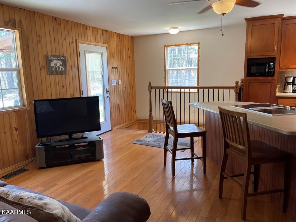 1216 Rafter Road Tellico Plains, TN 37385 - Photo 5 of 29 Gallery Image 5