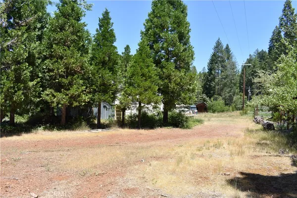 a view of outdoor space yard and trees