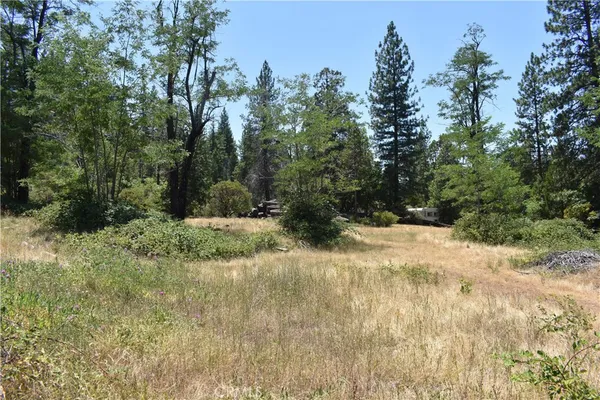 a view of a yard with a tree
