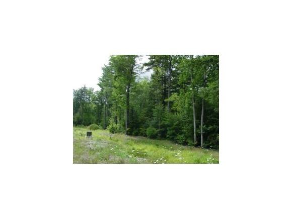 H-130 Cider Mill Road Brookline, NH 03033 - Photo 1 of 1
