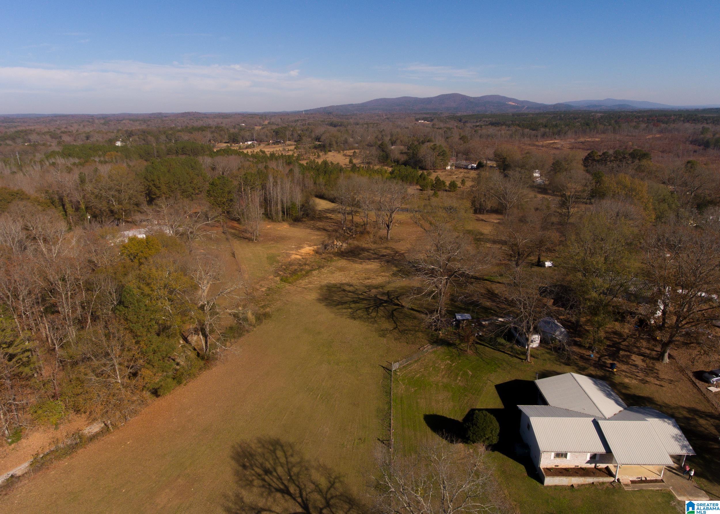 911 Granttown Road Munford, AL 36268 - Photo 48 of 50