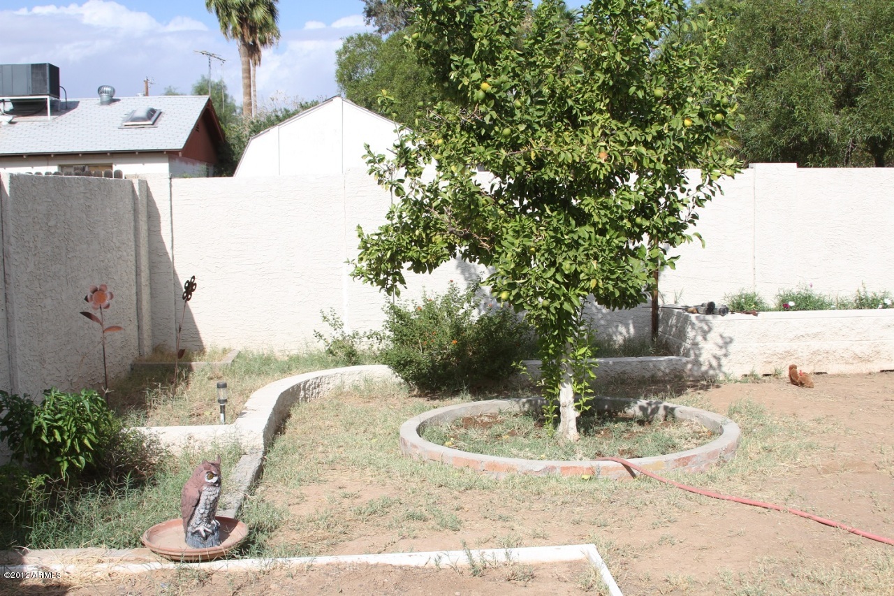 3472 East Presidio Road Phoenix, AZ 85032 - Photo 11 of 12 Backyard