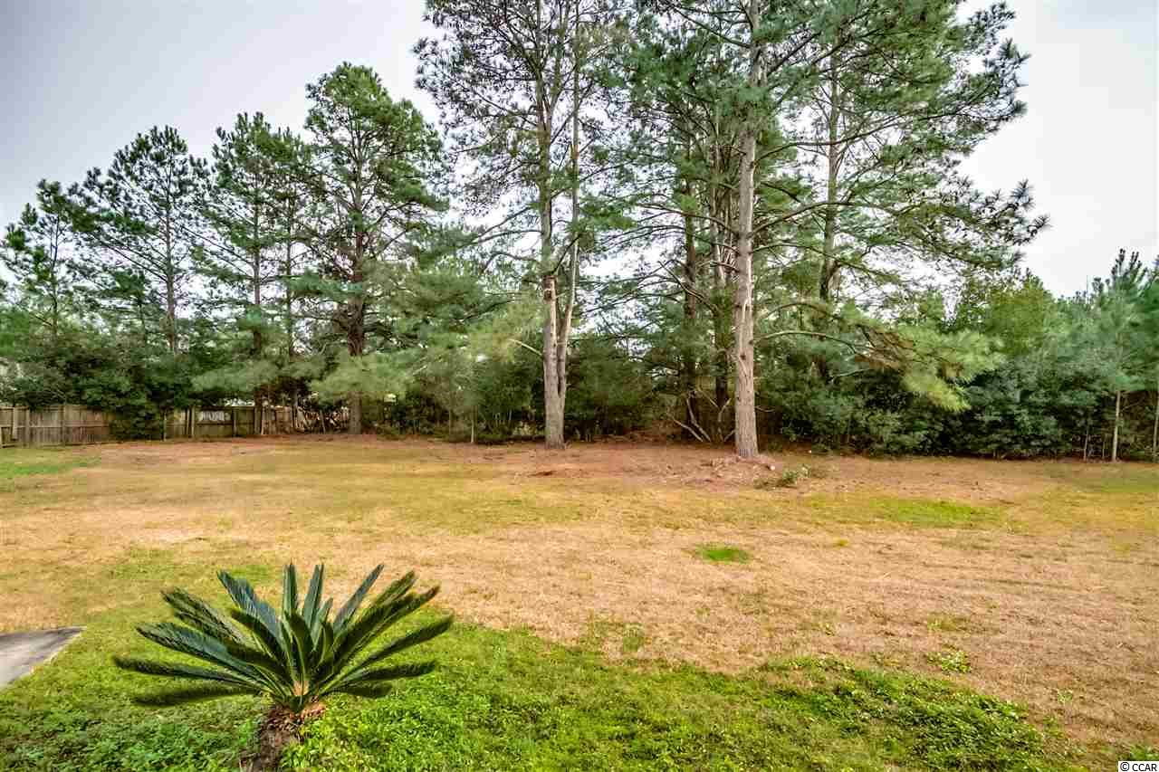 1749 Duke Road Longs, SC 29568 - Photo 24 of 25 Gallery Image 24