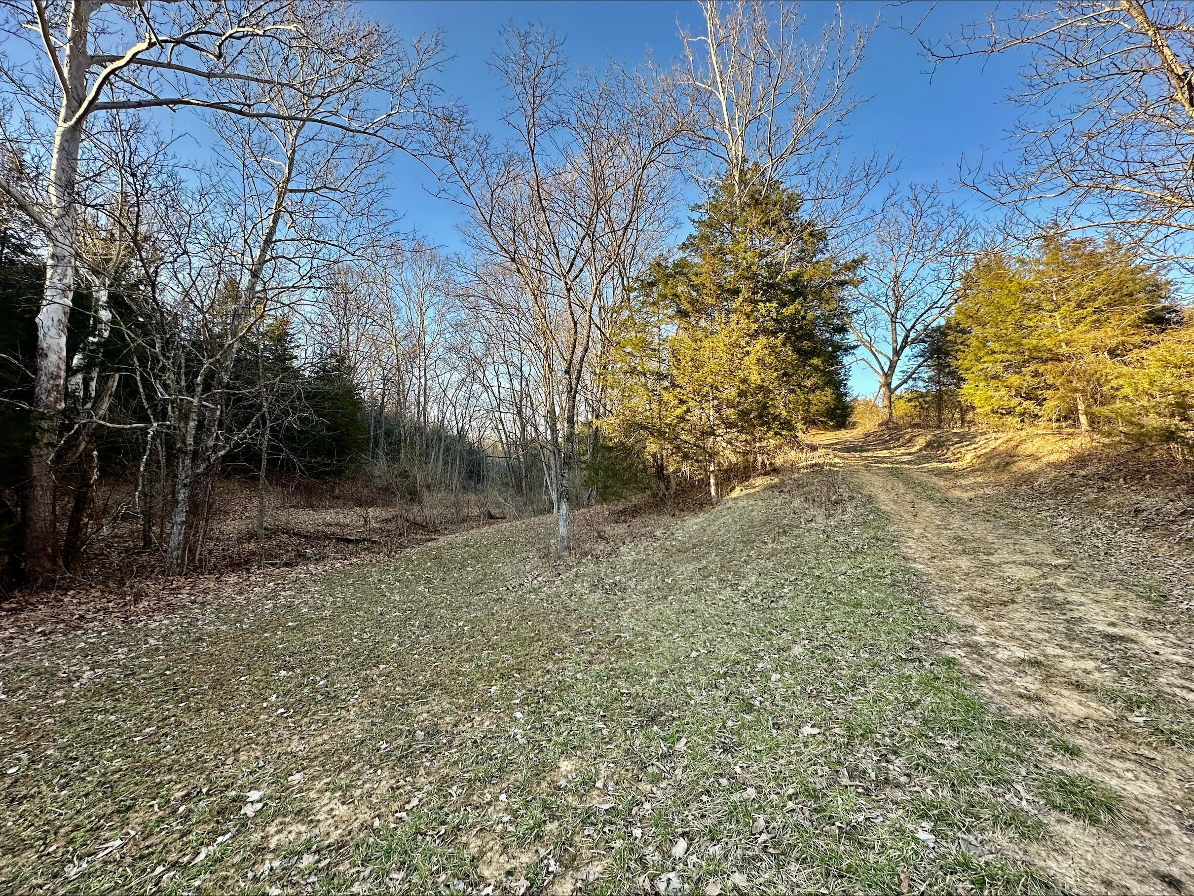 13489 Peach Grove Road California, KY 41007 - Photo 17 of 50 Gallery Image 17
