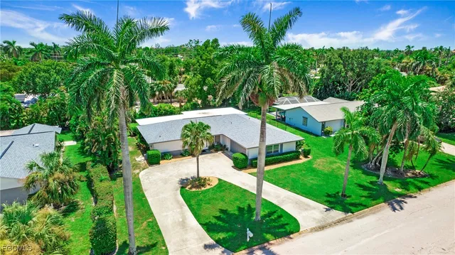 a view of a garden with plants