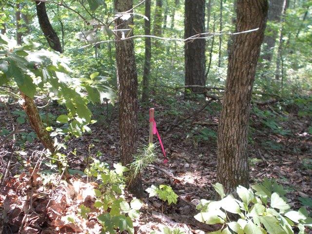0 Chattanooga Valley Road Chickamauga, GA 30707 - Photo 11 of 23 boundry stake from the adjacent property