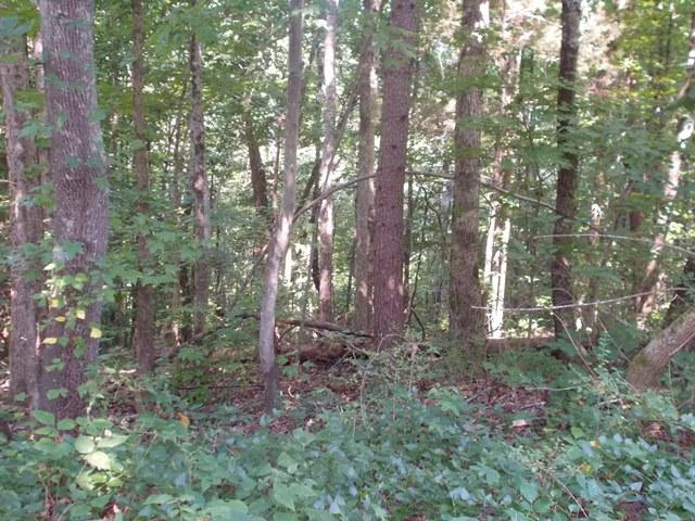 0 Chattanooga Valley Road Chickamauga, GA 30707 - Photo 12 of 23 wooded