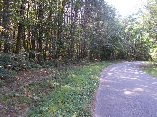 0 Chattanooga Valley Road Chickamauga, GA 30707 - Photo 15 of 23 road frontage