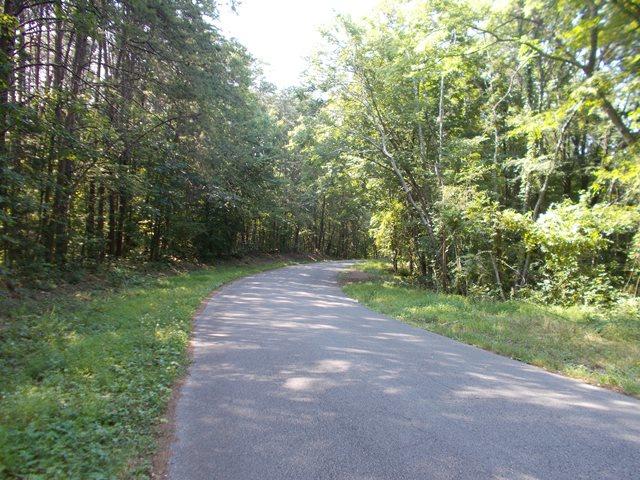 0 Chattanooga Valley Road Chickamauga, GA 30707 - Photo 16 of 23 road frontage