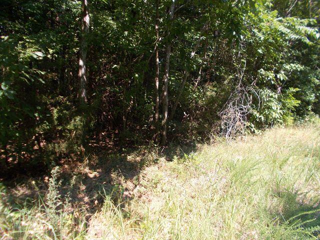 0 Chattanooga Valley Road Chickamauga, GA 30707 - Photo 17 of 23 wooded