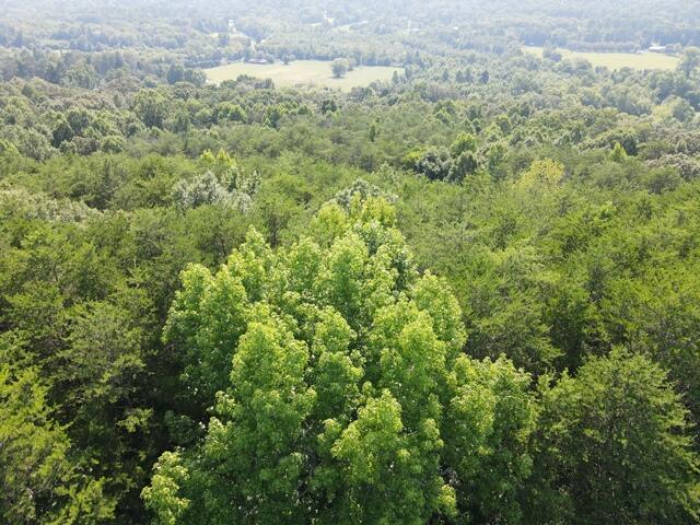 0 Chattanooga Valley Road Chickamauga, GA 30707 - Photo 20 of 23 wooded