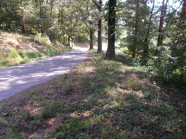 0 Chattanooga Valley Road Chickamauga, GA 30707 - Photo 3 of 23 DSCN3486