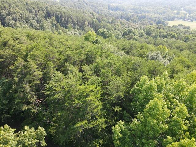 0 Chattanooga Valley Road Chickamauga, GA 30707 - Photo 21 of 23 wooded