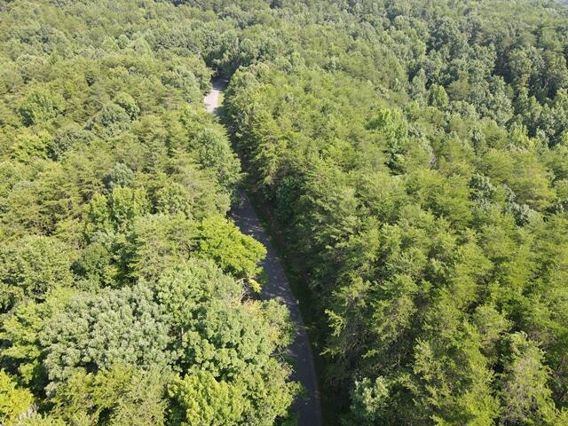 0 Chattanooga Valley Road Chickamauga, GA 30707 - Photo 22 of 23 Old Grand Center rd going thru