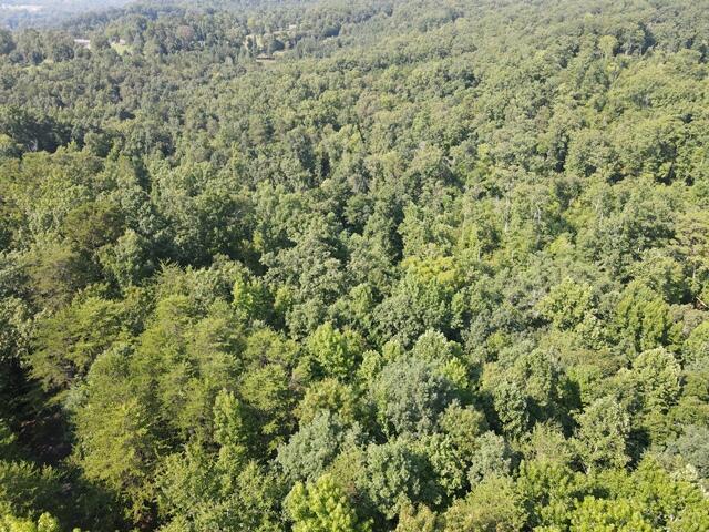 0 Chattanooga Valley Road Chickamauga, GA 30707 - Photo 23 of 23 wooded