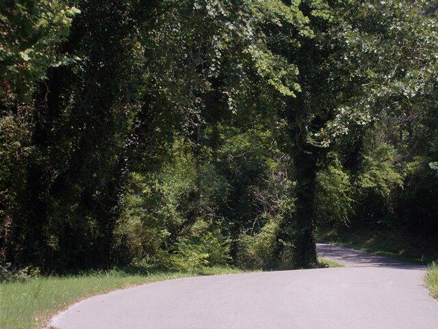 0 Chattanooga Valley Road Chickamauga, GA 30707 - Photo 6 of 23 road frontage