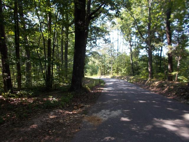 0 Chattanooga Valley Road Chickamauga, GA 30707 - Photo 7 of 23 road frontage