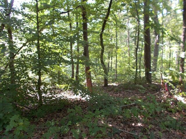 0 Chattanooga Valley Road Chickamauga, GA 30707 - Photo 8 of 23 wooded