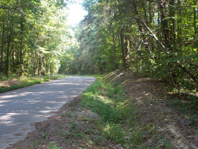 0 Chattanooga Valley Road Chickamauga, GA 30707 - Photo 9 of 23 road frontage
